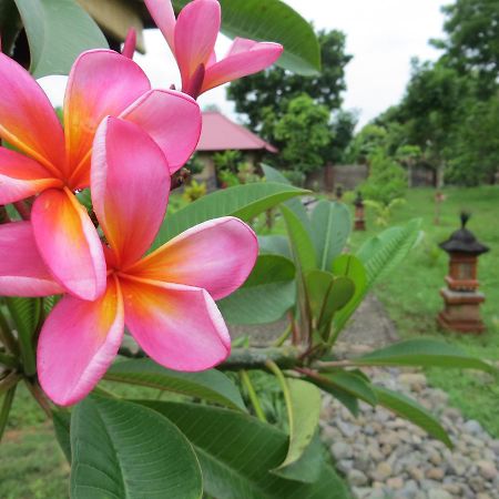 Tegal Sari, Pemuteran- North Bali Ξενοδοχείο Εξωτερικό φωτογραφία