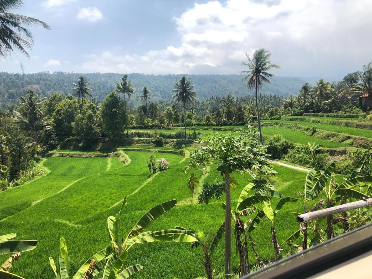 Tegal Sari, Pemuteran- North Bali Ξενοδοχείο Εξωτερικό φωτογραφία