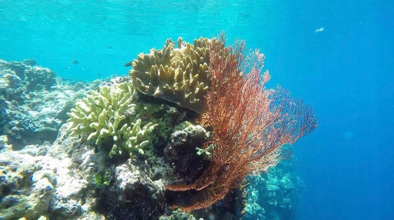 Tegal Sari, Pemuteran- North Bali Ξενοδοχείο Εξωτερικό φωτογραφία