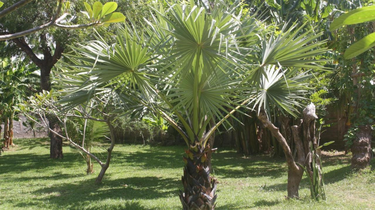 Tegal Sari, Pemuteran- North Bali Ξενοδοχείο Εξωτερικό φωτογραφία