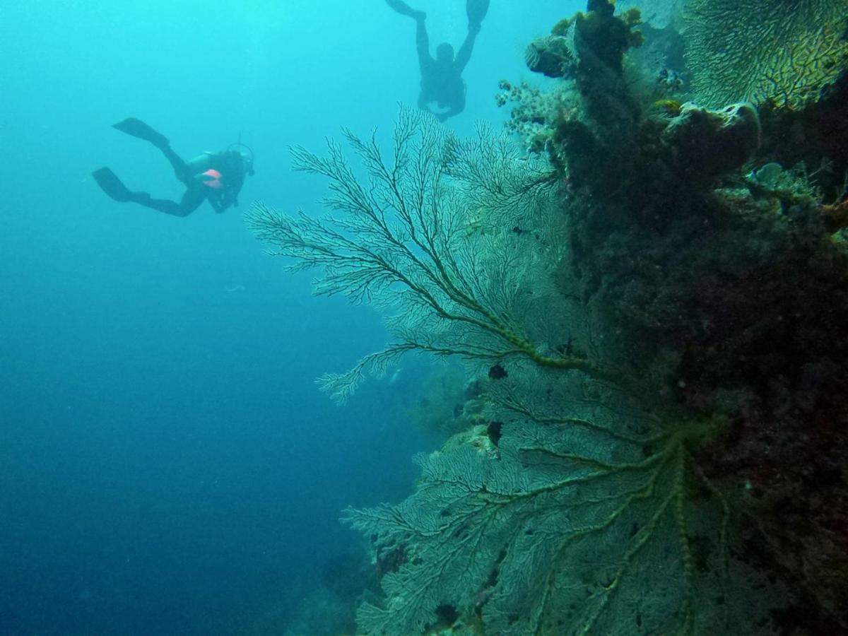 Tegal Sari, Pemuteran- North Bali Ξενοδοχείο Εξωτερικό φωτογραφία