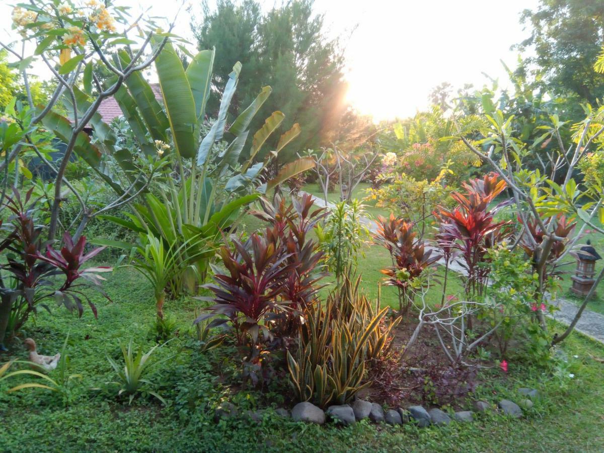 Tegal Sari, Pemuteran- North Bali Ξενοδοχείο Εξωτερικό φωτογραφία