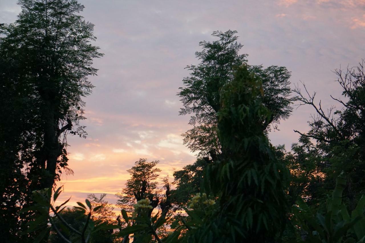 Tegal Sari, Pemuteran- North Bali Ξενοδοχείο Εξωτερικό φωτογραφία