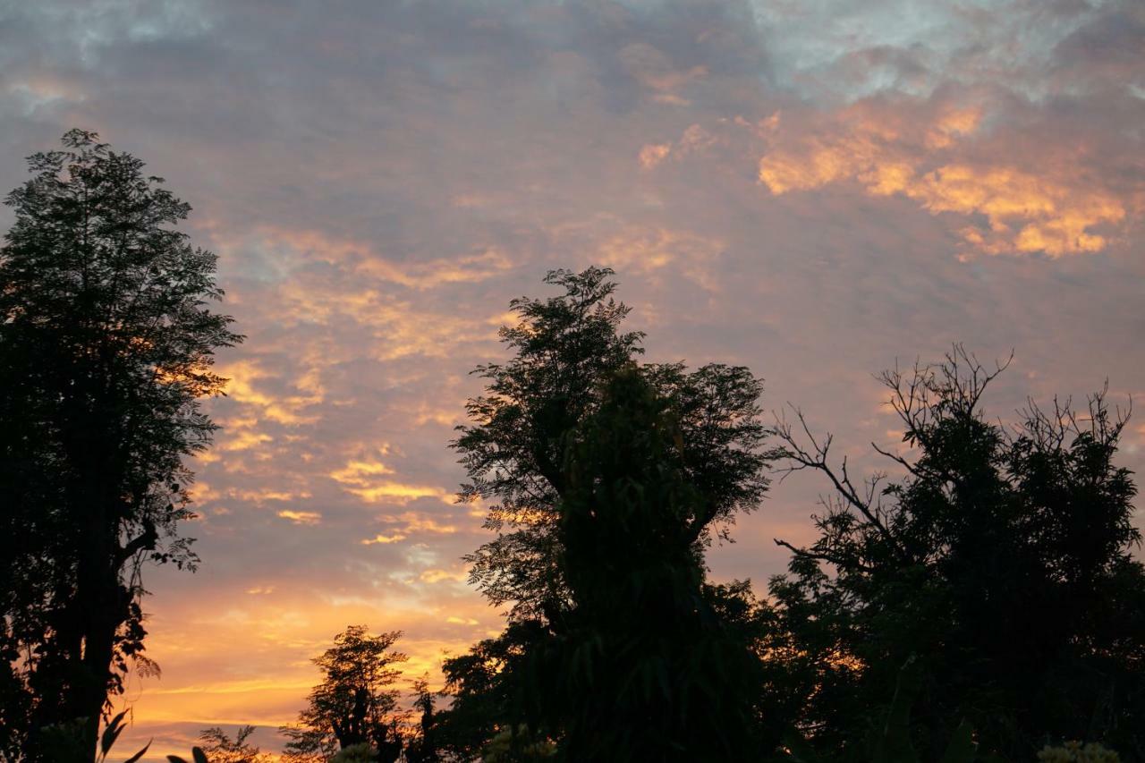 Tegal Sari, Pemuteran- North Bali Ξενοδοχείο Εξωτερικό φωτογραφία