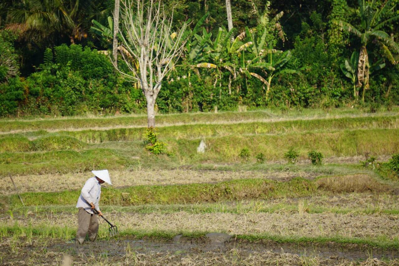 Tegal Sari, Pemuteran- North Bali Ξενοδοχείο Εξωτερικό φωτογραφία