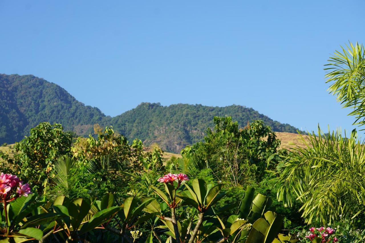 Tegal Sari, Pemuteran- North Bali Ξενοδοχείο Εξωτερικό φωτογραφία