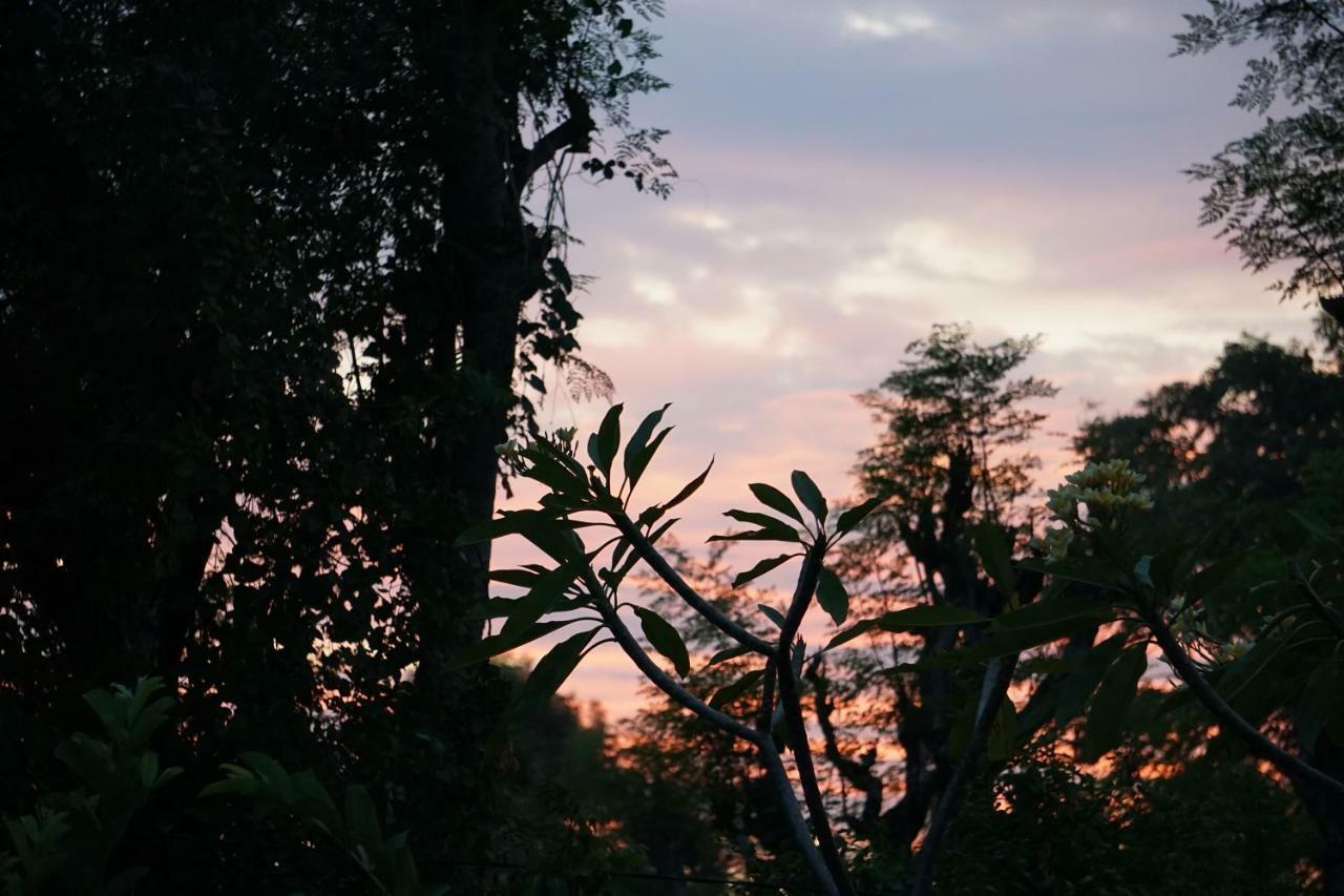 Tegal Sari, Pemuteran- North Bali Ξενοδοχείο Εξωτερικό φωτογραφία