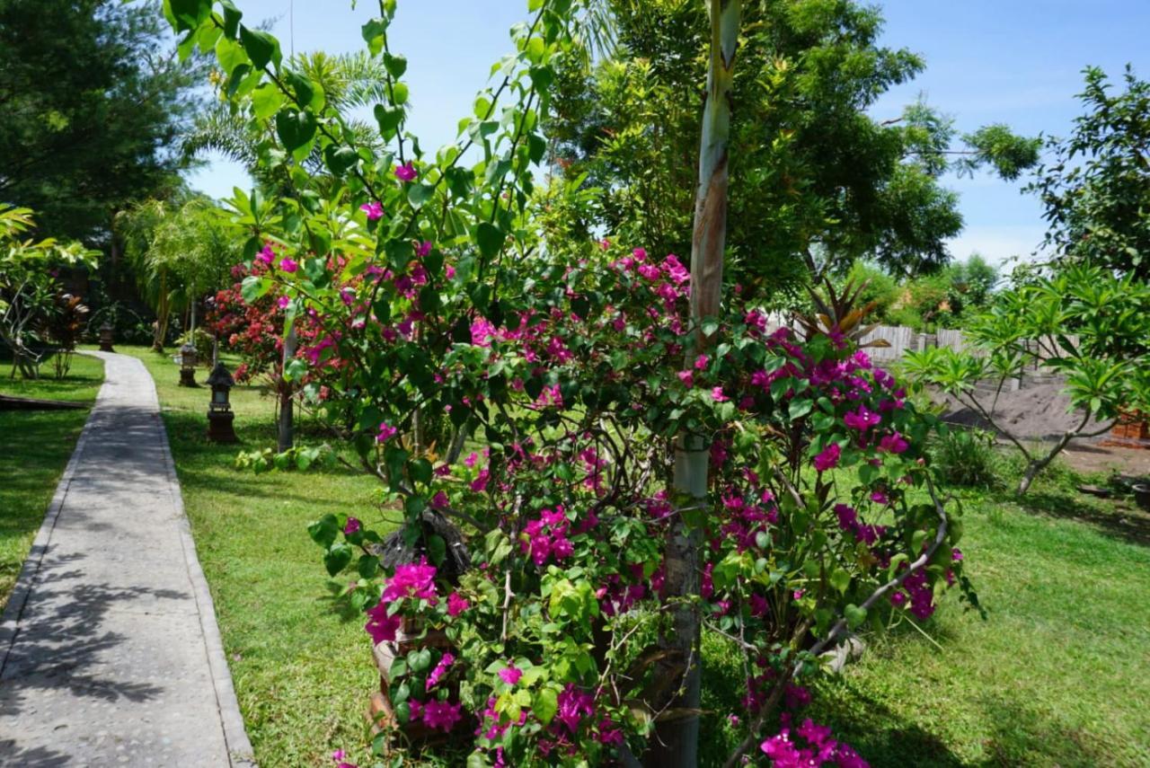 Tegal Sari, Pemuteran- North Bali Ξενοδοχείο Εξωτερικό φωτογραφία