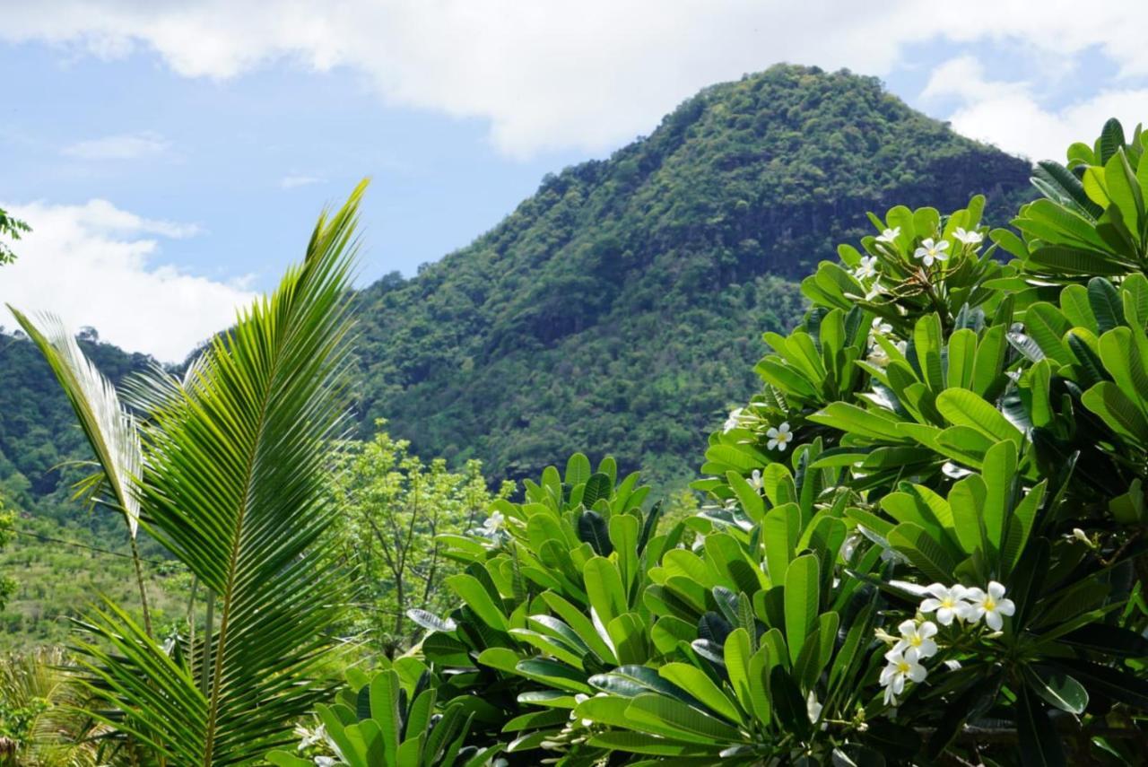 Tegal Sari, Pemuteran- North Bali Ξενοδοχείο Εξωτερικό φωτογραφία